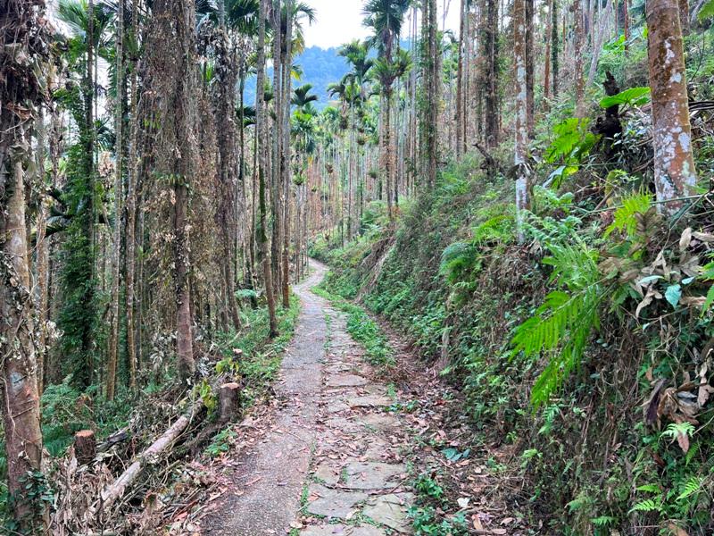 huntingeagle000001110 楠西-梅嶺風景區 梅峰古道+稜線步道+伍龍步道 獵鷹尖一線天景觀讚