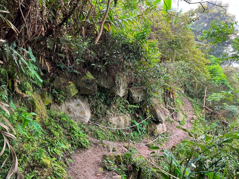 huntingeagle000001117 楠西-梅嶺風景區 梅峰古道+稜線步道+伍龍步道 獵鷹尖一線天景觀讚