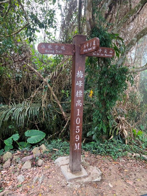 huntingeagle000001119-rotated 楠西-梅嶺風景區 梅峰古道+稜線步道+伍龍步道 獵鷹尖一線天景觀讚