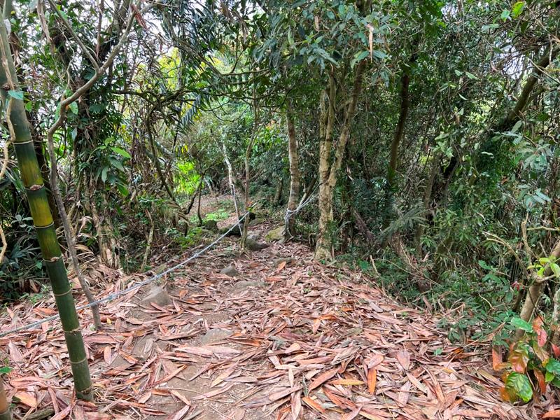 huntingeagle000001120 楠西-梅嶺風景區 梅峰古道+稜線步道+伍龍步道 獵鷹尖一線天景觀讚