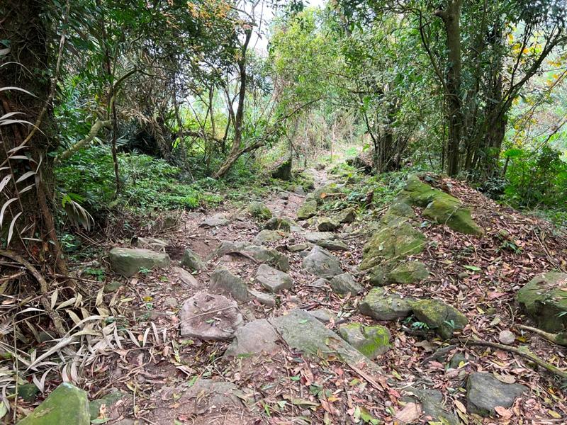 huntingeagle000001122 楠西-梅嶺風景區 梅峰古道+稜線步道+伍龍步道 獵鷹尖一線天景觀讚