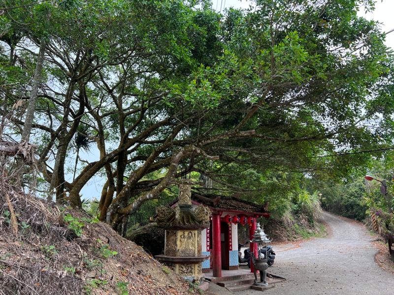 huntingeagle000001124 楠西-梅嶺風景區 梅峰古道+稜線步道+伍龍步道 獵鷹尖一線天景觀讚