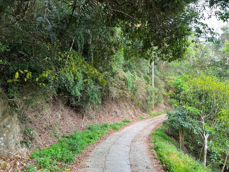 huntingeagle000001126 楠西-梅嶺風景區 梅峰古道+稜線步道+伍龍步道 獵鷹尖一線天景觀讚