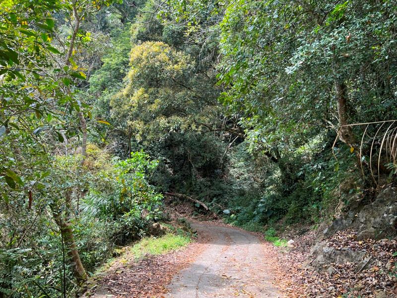 huntingeagle000001127 楠西-梅嶺風景區 梅峰古道+稜線步道+伍龍步道 獵鷹尖一線天景觀讚