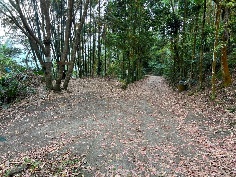 huntingeagle000001130 楠西-梅嶺風景區 梅峰古道+稜線步道+伍龍步道 獵鷹尖一線天景觀讚