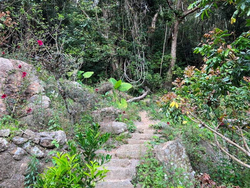 huntingeagle000001131 楠西-梅嶺風景區 梅峰古道+稜線步道+伍龍步道 獵鷹尖一線天景觀讚