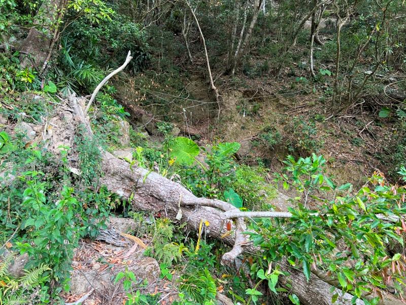 huntingeagle000001132 楠西-梅嶺風景區 梅峰古道+稜線步道+伍龍步道 獵鷹尖一線天景觀讚