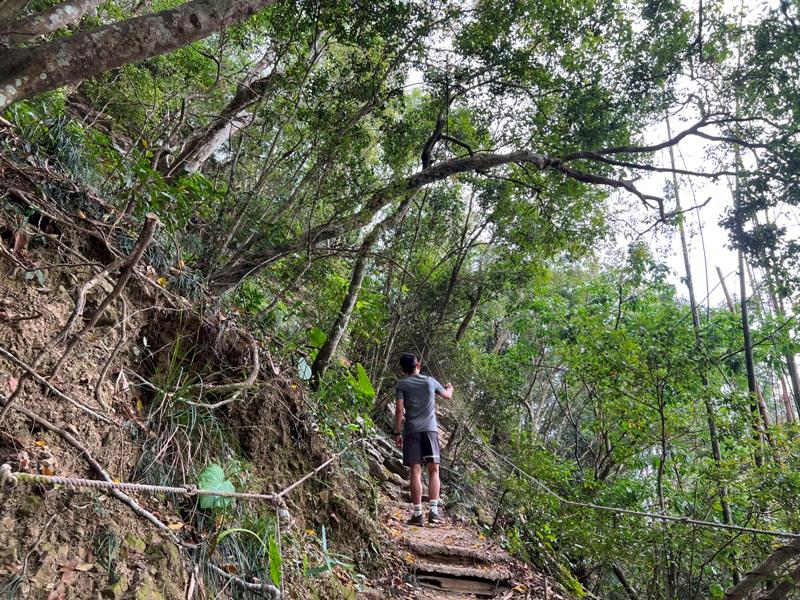 huntingeagle000001134 楠西-梅嶺風景區 梅峰古道+稜線步道+伍龍步道 獵鷹尖一線天景觀讚