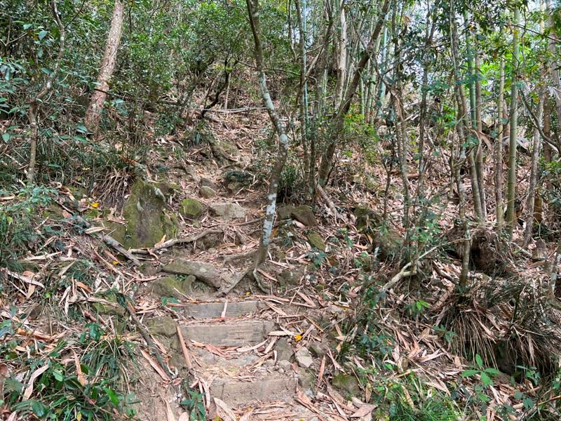 huntingeagle000001135 楠西-梅嶺風景區 梅峰古道+稜線步道+伍龍步道 獵鷹尖一線天景觀讚