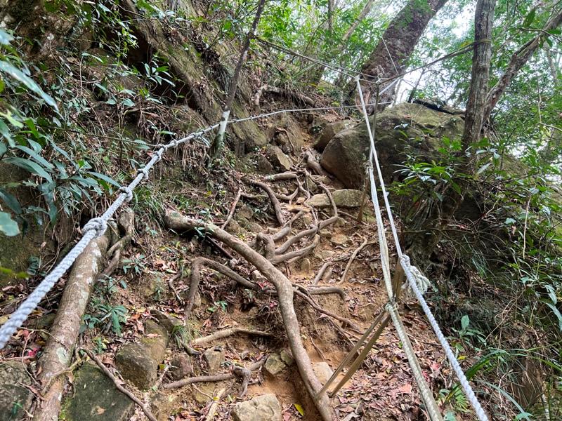 huntingeagle000001137 楠西-梅嶺風景區 梅峰古道+稜線步道+伍龍步道 獵鷹尖一線天景觀讚