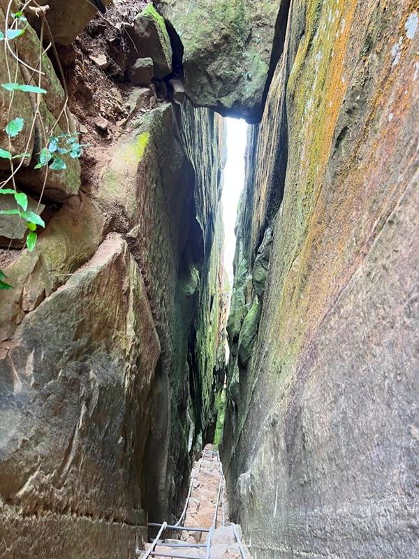 huntingeagle000001142-rotated 楠西-梅嶺風景區 梅峰古道+稜線步道+伍龍步道 獵鷹尖一線天景觀讚