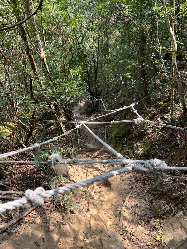 huntingeagle000001153-rotated 楠西-梅嶺風景區 梅峰古道+稜線步道+伍龍步道 獵鷹尖一線天景觀讚