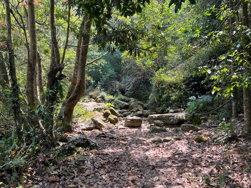 huntingeagle000001154 楠西-梅嶺風景區 梅峰古道+稜線步道+伍龍步道 獵鷹尖一線天景觀讚