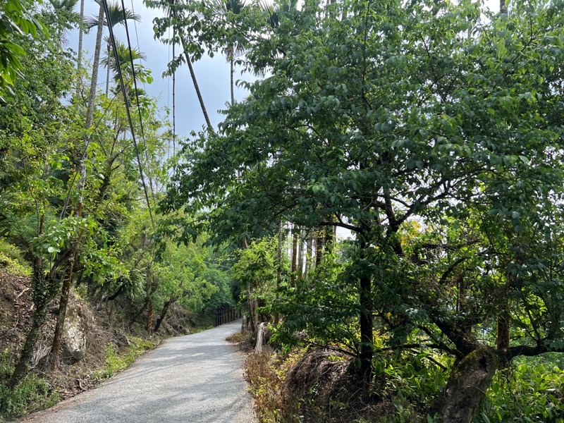 huntingeagle000001155 楠西-梅嶺風景區 梅峰古道+稜線步道+伍龍步道 獵鷹尖一線天景觀讚