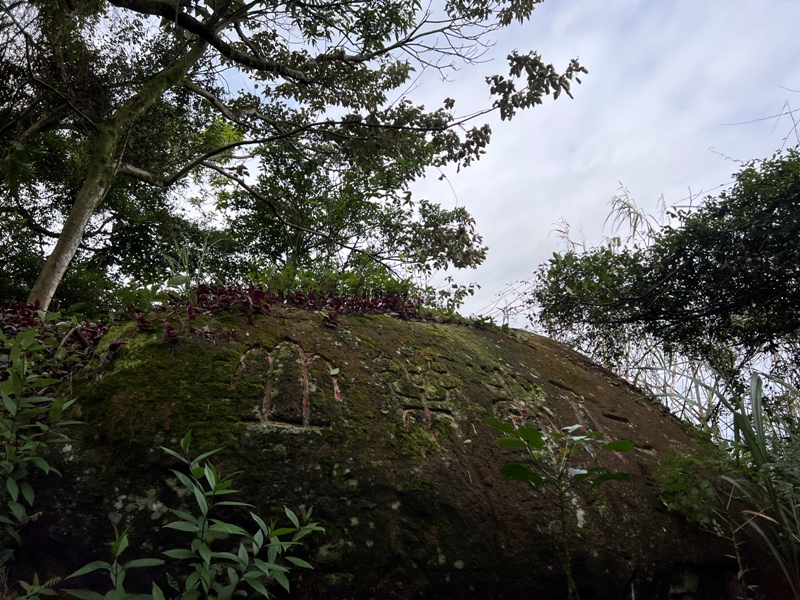 nankangmt11 信義-台北最美天際線 九五峰+南港山+拇指山+象山 輕鬆路線走起來