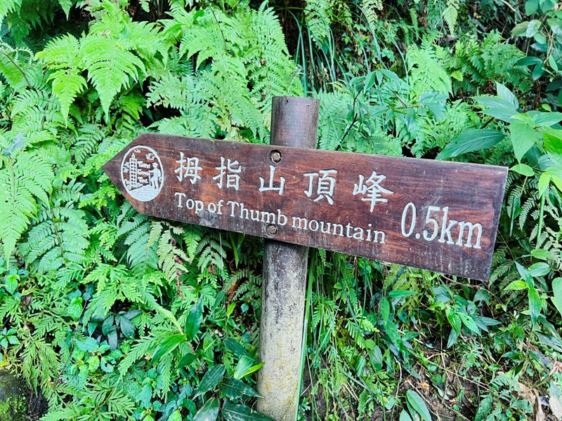 nankangmt33 信義-台北最美天際線 九五峰+南港山+拇指山+象山 輕鬆路線走起來