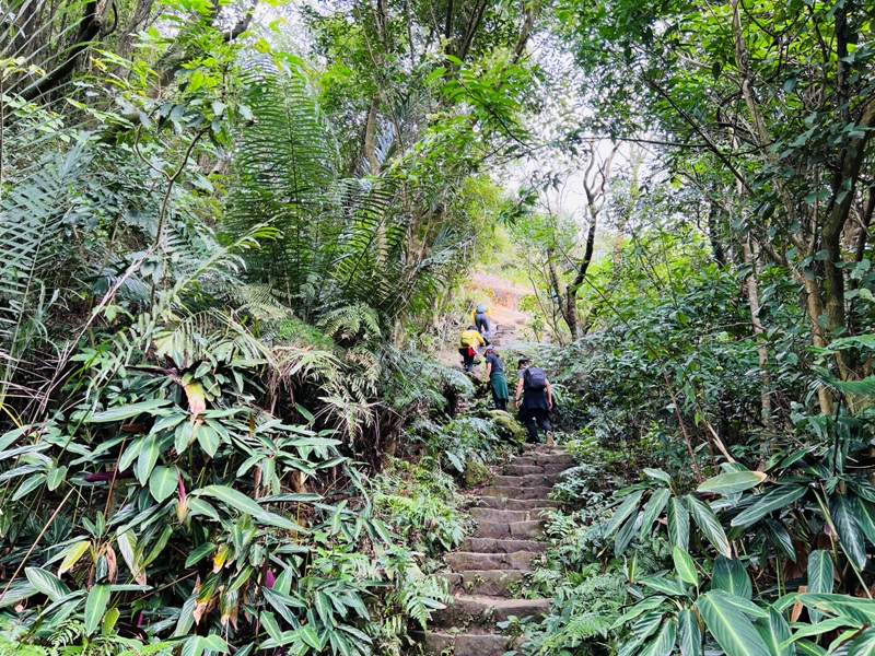 nankangmt34 信義-台北最美天際線 九五峰+南港山+拇指山+象山 輕鬆路線走起來
