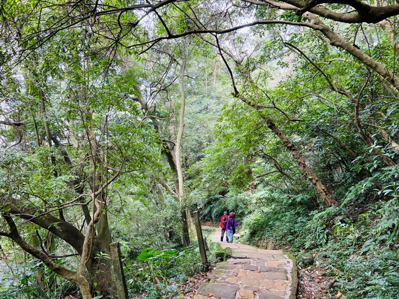 nankangmt43 信義-台北最美天際線 九五峰+南港山+拇指山+象山 輕鬆路線走起來