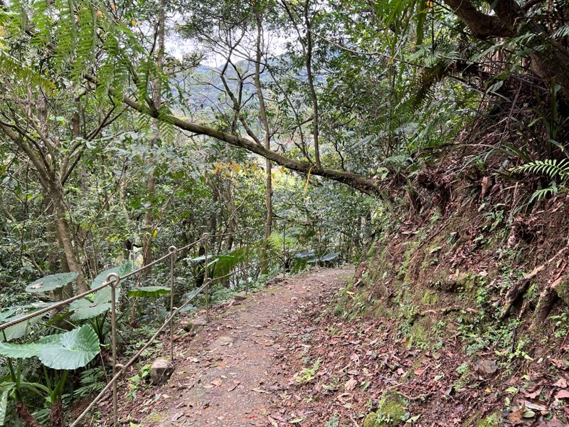 youkang02-rotated 瑞芳-魚寮路 幼坑步道 找尋九層瀑布