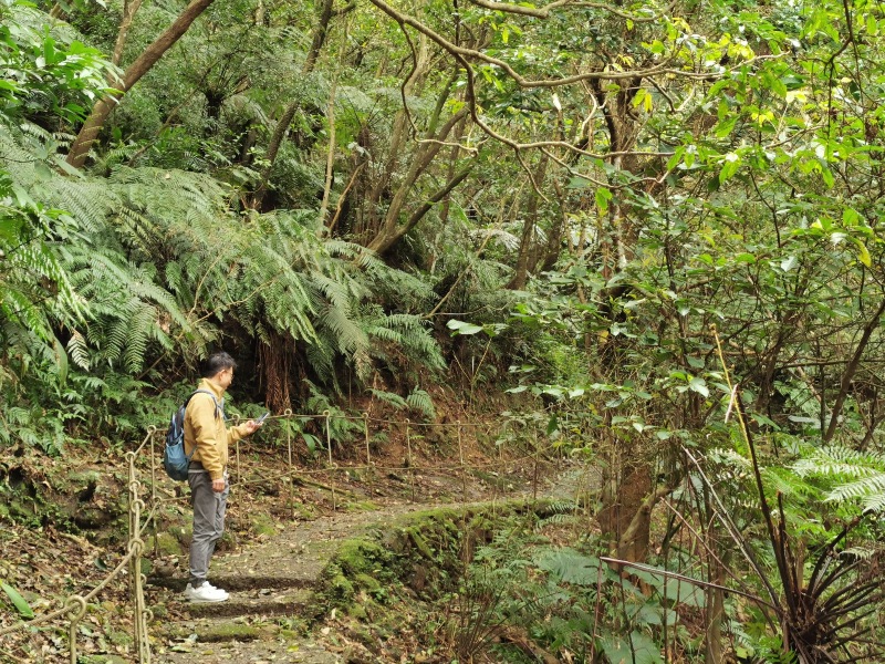 youkang05 瑞芳-魚寮路 幼坑步道 找尋九層瀑布