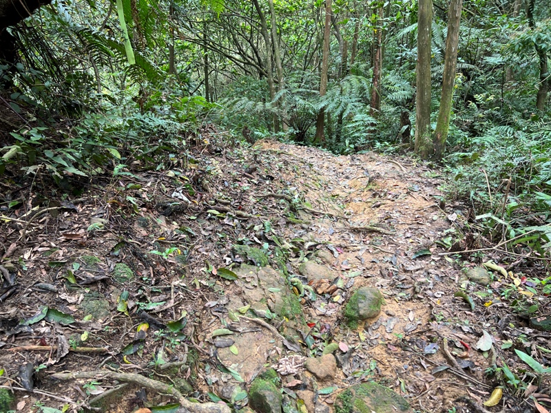 youkang07 瑞芳-魚寮路 幼坑步道 找尋九層瀑布