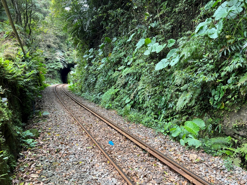 youkang10 瑞芳-魚寮路 幼坑步道 找尋九層瀑布