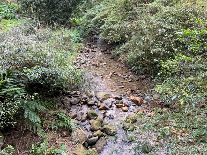 youkang13 瑞芳-魚寮路 幼坑步道 找尋九層瀑布