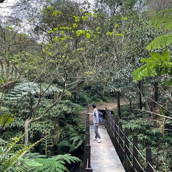 youkang14-rotated 瑞芳-魚寮路 幼坑步道 找尋九層瀑布