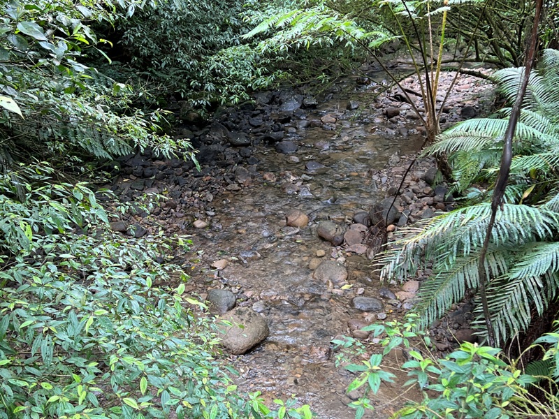 youkang15 瑞芳-魚寮路 幼坑步道 找尋九層瀑布