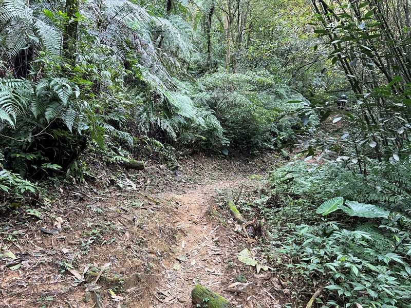 youkang16 瑞芳-魚寮路 幼坑步道 找尋九層瀑布