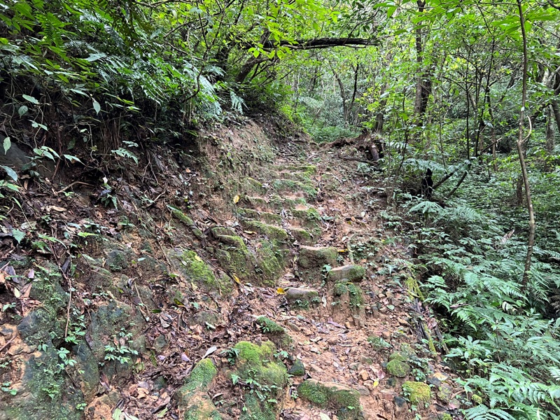 youkang17 瑞芳-魚寮路 幼坑步道 找尋九層瀑布