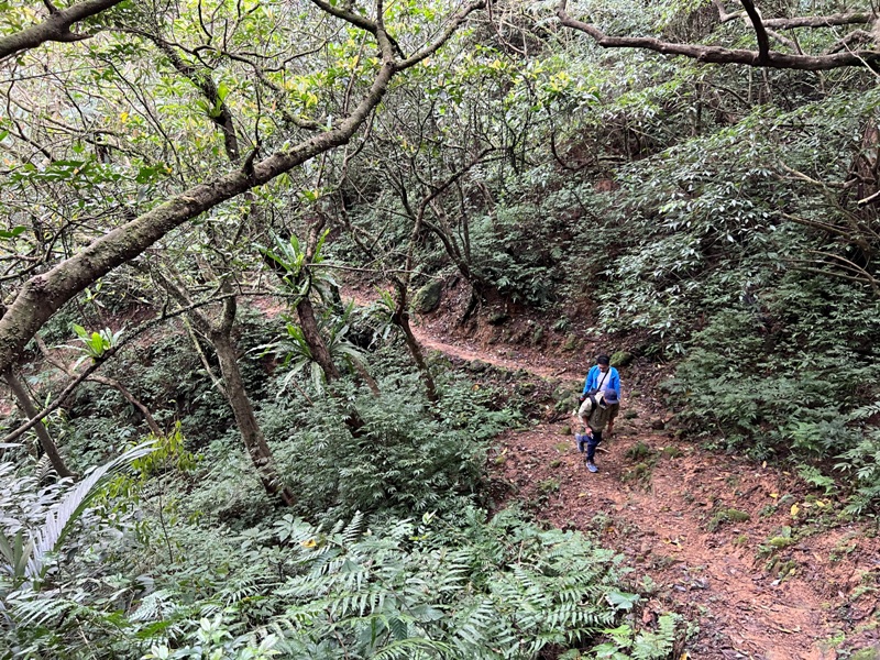 youkang18 瑞芳-魚寮路 幼坑步道 找尋九層瀑布