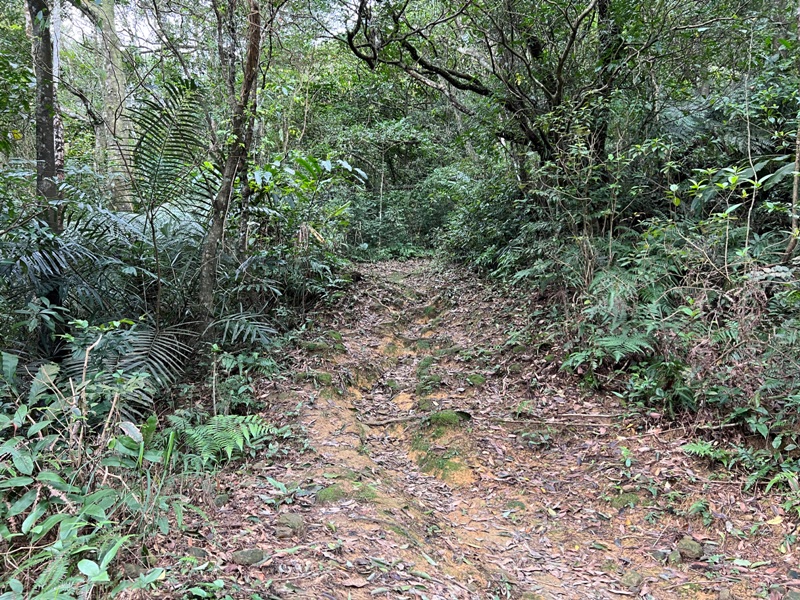 youkang19 瑞芳-魚寮路 幼坑步道 找尋九層瀑布