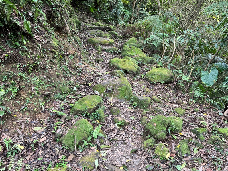 youkang21 瑞芳-魚寮路 幼坑步道 找尋九層瀑布