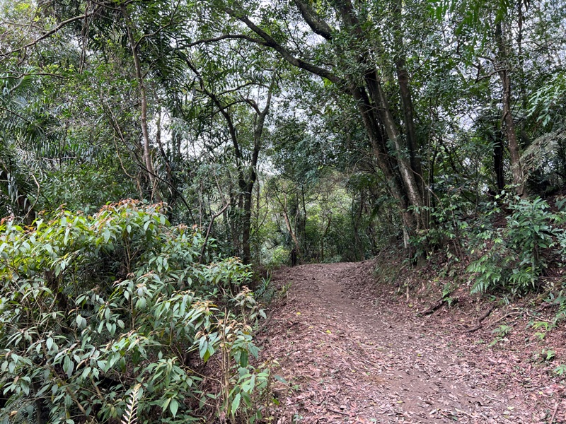 youkang22 瑞芳-魚寮路 幼坑步道 找尋九層瀑布