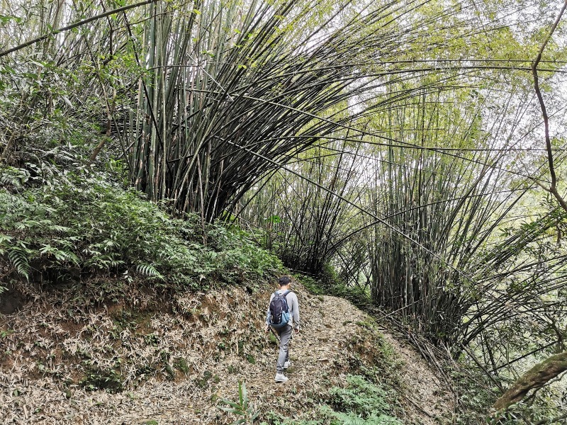 youkang24 瑞芳-魚寮路 幼坑步道 找尋九層瀑布