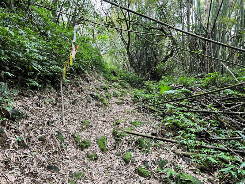 youkang26 瑞芳-魚寮路 幼坑步道 找尋九層瀑布