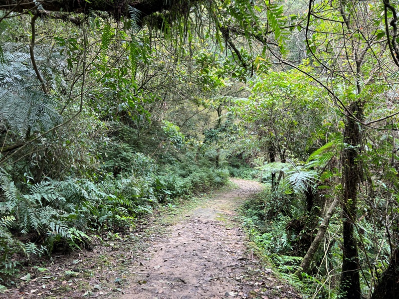 youkang27 瑞芳-魚寮路 幼坑步道 找尋九層瀑布