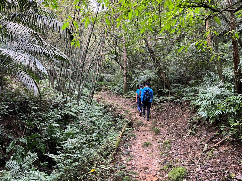 youkang28 瑞芳-魚寮路 幼坑步道 找尋九層瀑布