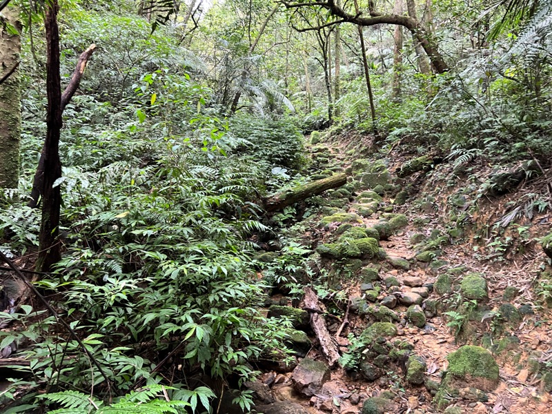 youkang29 瑞芳-魚寮路 幼坑步道 找尋九層瀑布