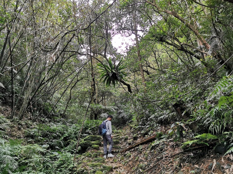 youkang30 瑞芳-魚寮路 幼坑步道 找尋九層瀑布