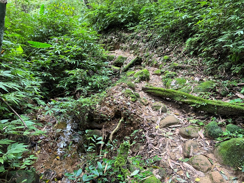 youkang32 瑞芳-魚寮路 幼坑步道 找尋九層瀑布