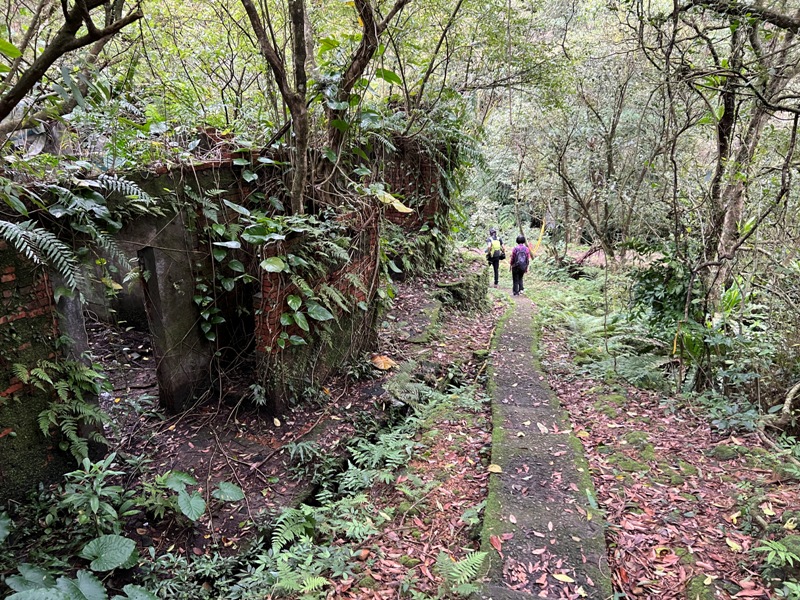 youkang34 瑞芳-魚寮路 幼坑步道 找尋九層瀑布