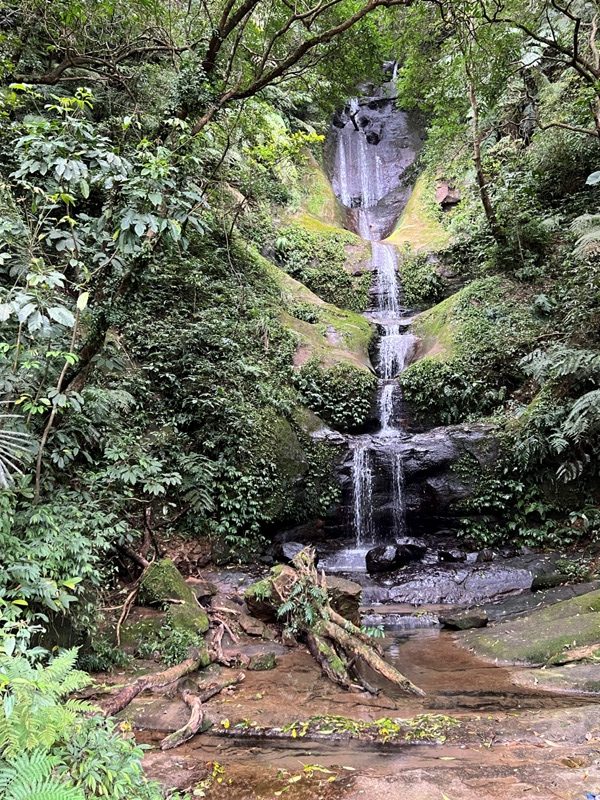 youkang38-rotated 瑞芳-魚寮路 幼坑步道 找尋九層瀑布