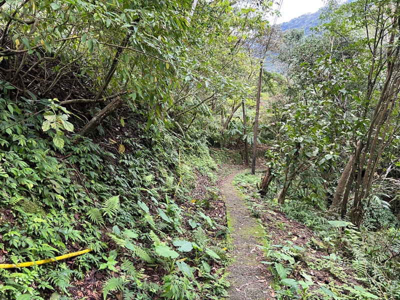 youkang42 瑞芳-魚寮路 幼坑步道 找尋九層瀑布