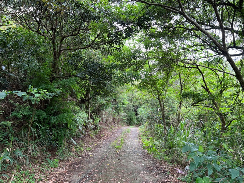 Daluntoushan0104 內湖-大崙頭山 親民步道美好景觀