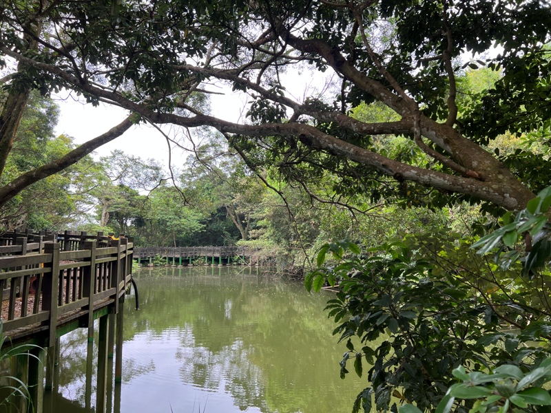 Daluntoushan0105 內湖-大崙頭山 親民步道美好景觀