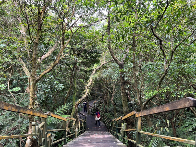 Daluntoushan0125 內湖-大崙頭山 親民步道美好景觀