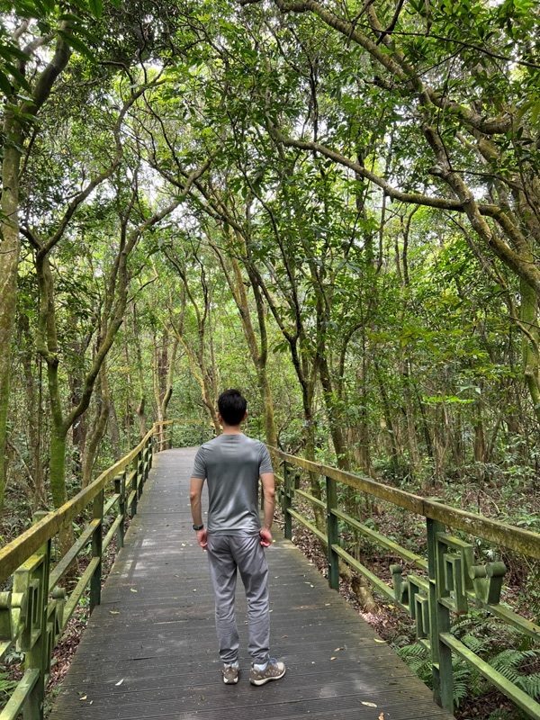 Daluntoushan0126-rotated 內湖-大崙頭山 親民步道美好景觀