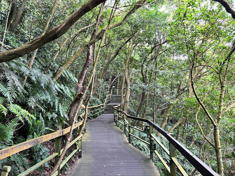 Daluntoushan0128 內湖-大崙頭山 親民步道美好景觀